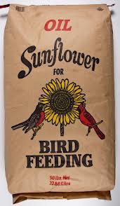 BLACKOILSUNFLOWER