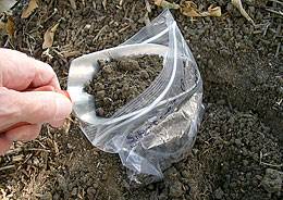 Soil Sample